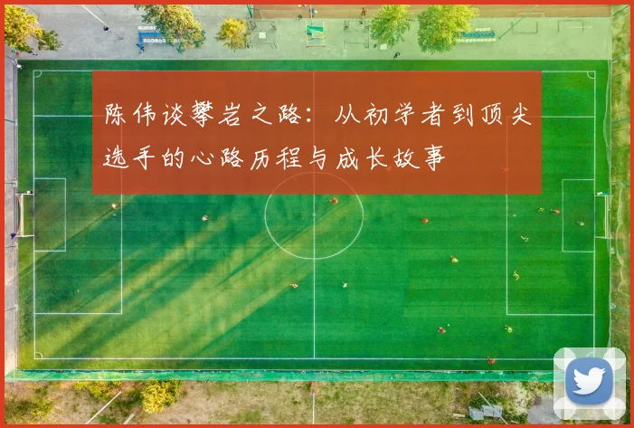 陈伟谈攀岩之路：从初学者到顶尖选手的心路历程与成长故事